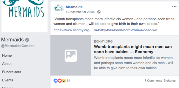Mermaids given £500,000 by National Lottery (Sunday Times)