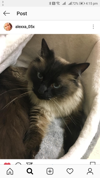 To ask you to post pictures of your pets?