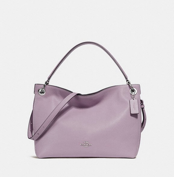Coach  Chelsea Hobo or Edie 31