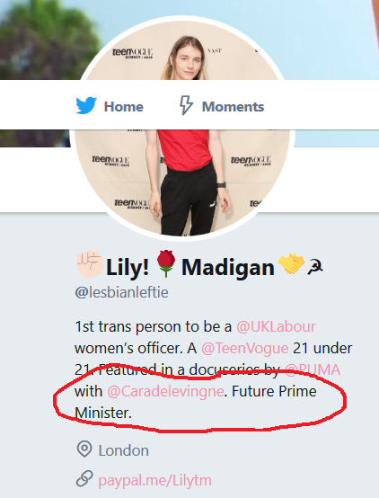 Lily Madigan and the School Saga