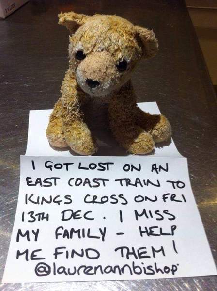 To ask if anyone knows this bear?