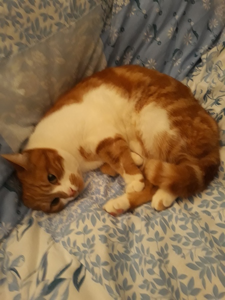 Why does she bite me?