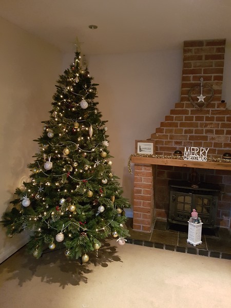 If you already have your tree up can I see it please?