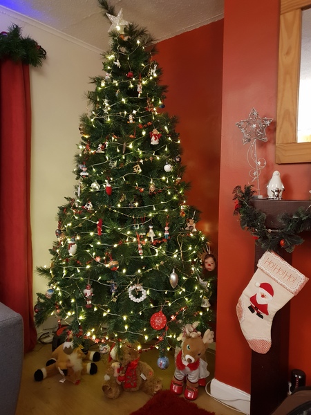 If you already have your tree up can I see it please?