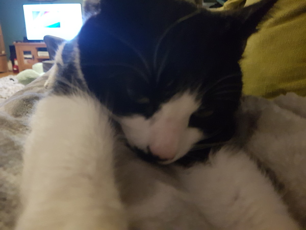 To think he is using me?