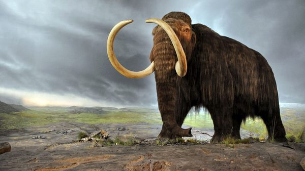 What's with the mammoth posts these days?