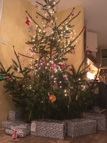 If you already have your tree up can I see it please?