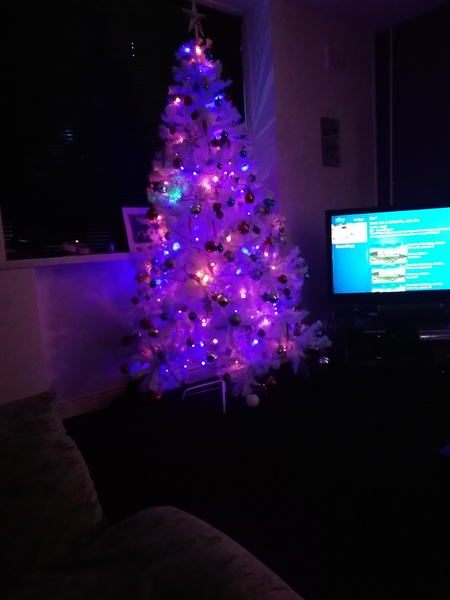 Lets see your trees 2018!