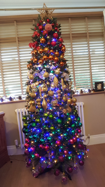 Lets see your trees 2018!