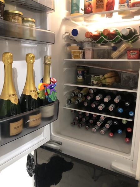 To ask to see the inside of your fridge?