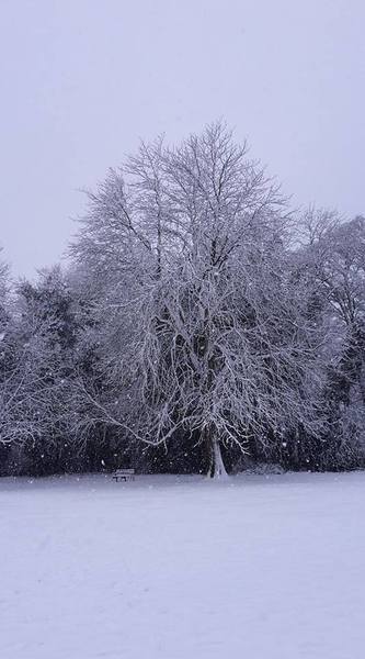 To think the seasons are shifting...