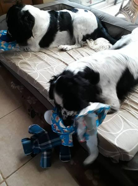 Did you Capture opening presents on chritmas with photos/videos