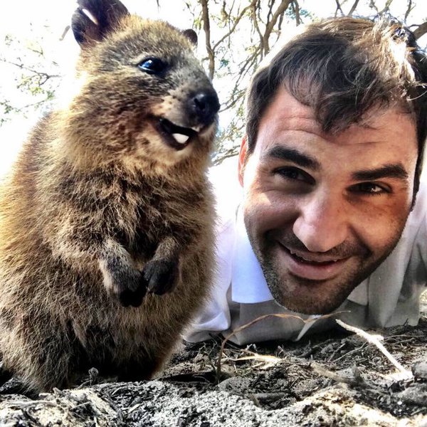 Tennis Thread:- The players are all on holiday, 2018 is coming to an end, but 2019 is around the corner and there will be lots to look forward to!