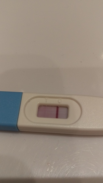 November/December IVF/ICSI/FET