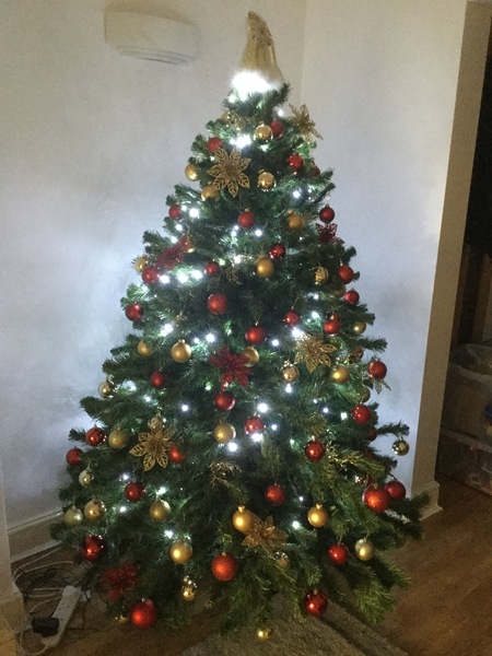 Lets see your trees 2018!