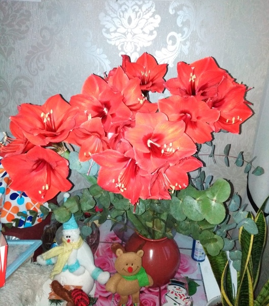 Free Freddie flowers