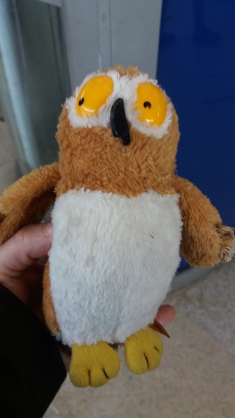 Owl found - Stratford