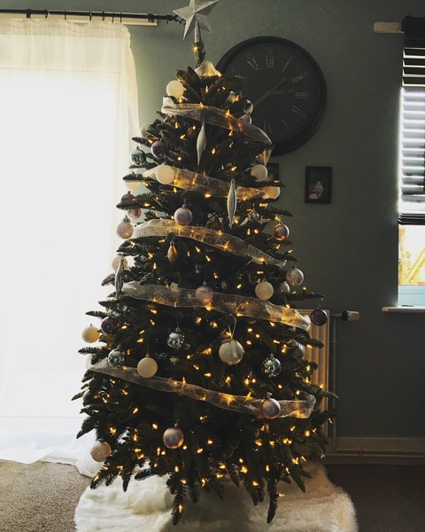 Lets see your trees 2018!