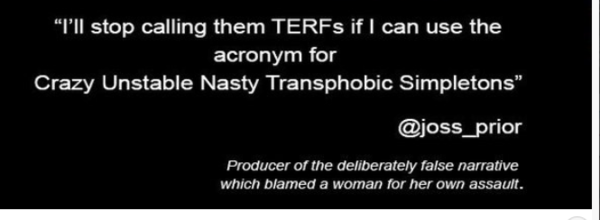 Vice: how an online forum for moms became a toxic hotbed of transphobia