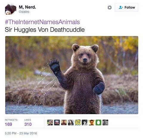 Animals get a bad reputation unfairly