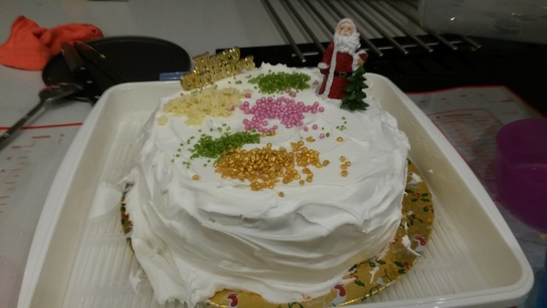 to show off my Christmas cake! It took me aaaaaaaaaaages :o) Anyone else want to post a pic of theirs?