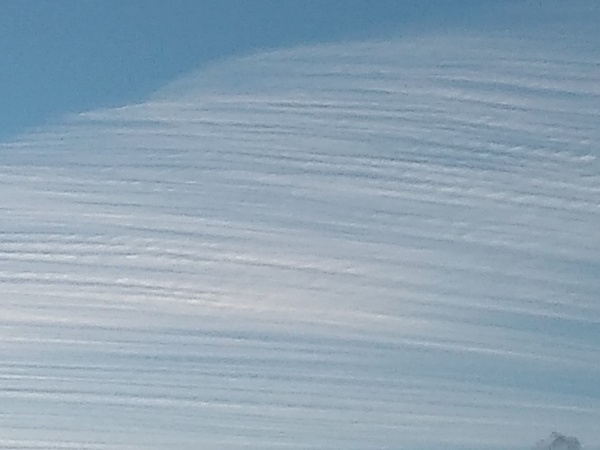 Badkittens and Gloria Will it snow at Christmas Thread