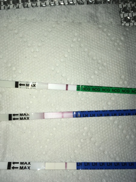 2 week wait