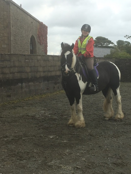 Can we have a pony picture thread?