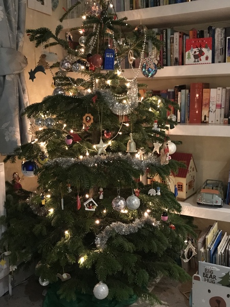 Lets see your trees 2018!