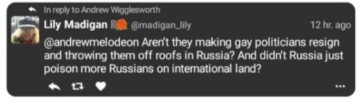 Lily Madigan and the School Saga