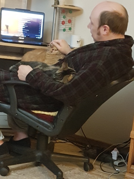 To ask why cats roaming is acceptable?