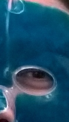 AIBU to ask if there has ever been a photo thread?