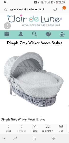 Moses Basket
