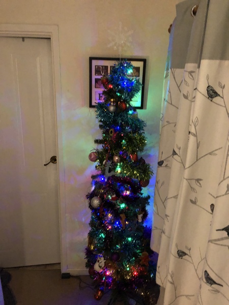 Lets see your trees 2018!