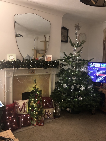So, can we have a christmas decoration thread?