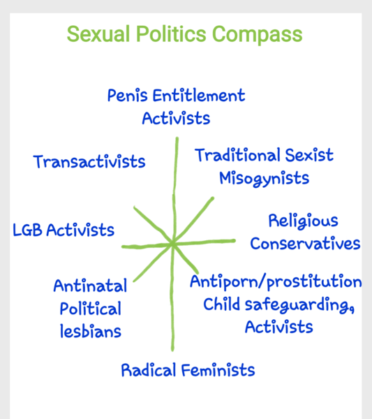 Although sharing the views of women here I don't think I can be a radical feminist