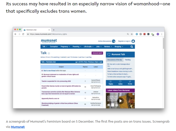 Vice: how an online forum for moms became a toxic hotbed of transphobia
