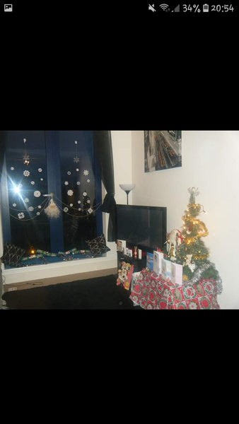 I have tree envy :-(