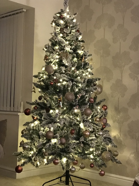 Lets see your trees 2018!