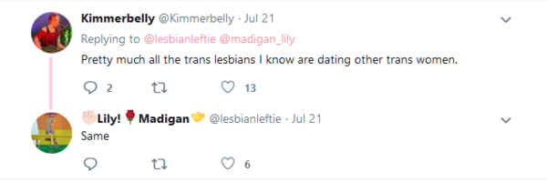 Lily Madigan and the School Saga