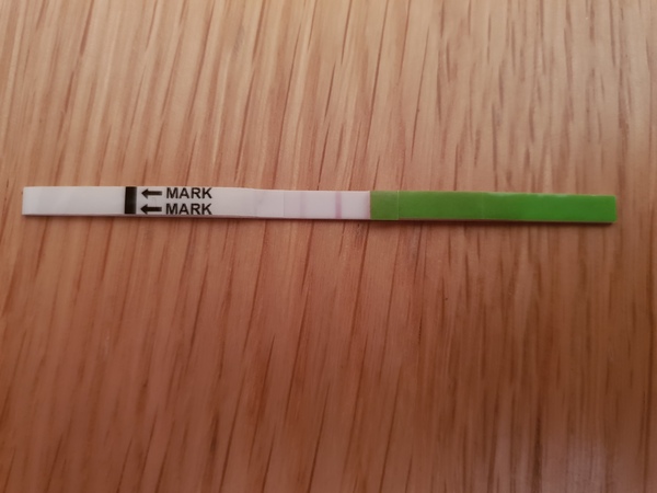Ovulation Testing with Long Cycle