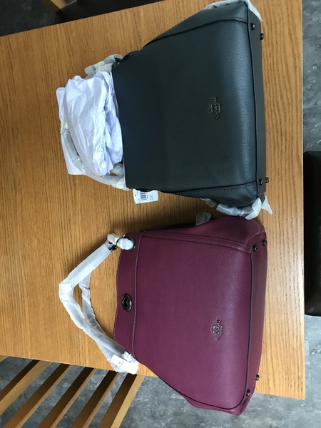 Coach  Chelsea Hobo or Edie 31