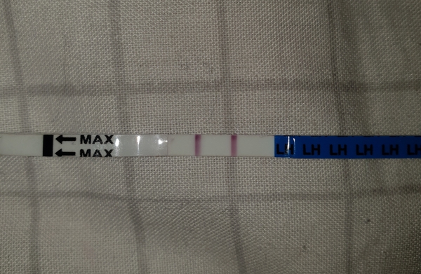 Is this a positive ovulation test?