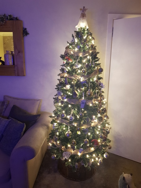 If you already have your tree up can I see it please?