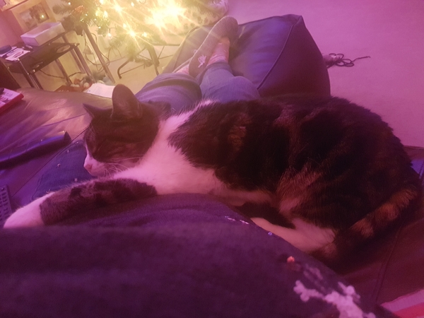 So tired but how can I possibly go to bed...