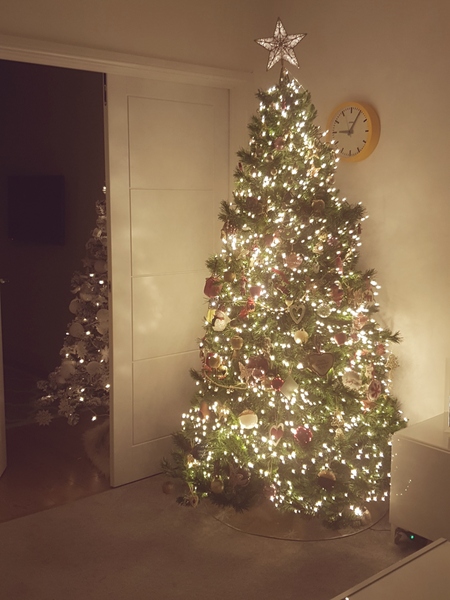 Lets see your trees 2018!