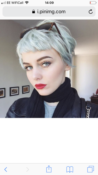 Help me pick a hairstyle please?