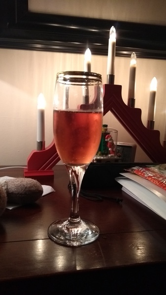 Fledglings Flying Festively - the December Flylady thread