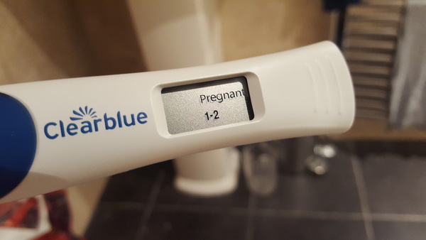 August 2019 Babies, part 2!