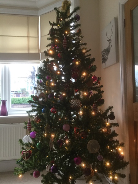 If you already have your tree up can I see it please?
